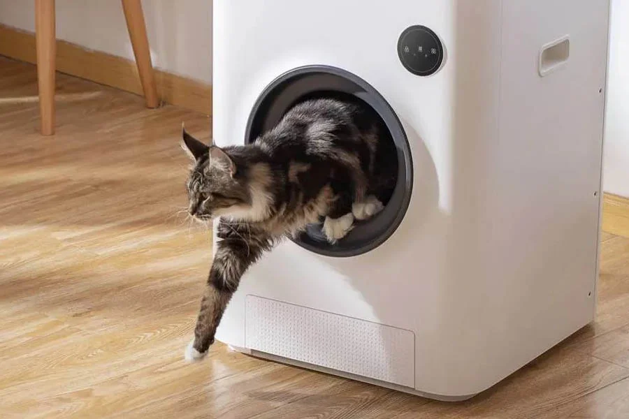 best automatic litter box for large cats