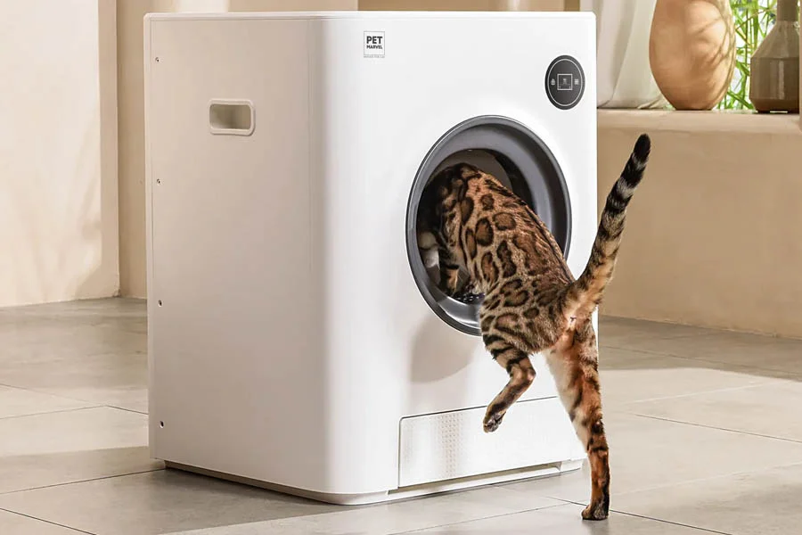 best automatic litter box for large cats